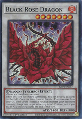 Black Rose Dragon - RA04-EN057 -  (Super Rare) - 1st Edition